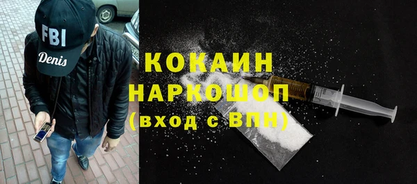 стаф Каменногорск