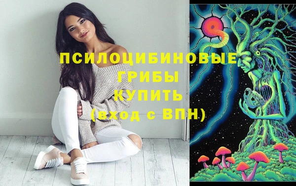 стаф Каменногорск