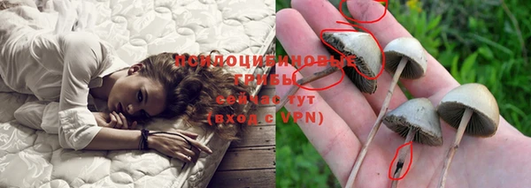 меф Инсар