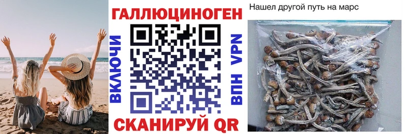 Галлюциногенные грибы Cubensis  Касли 